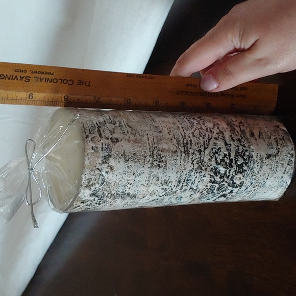 NWT Faux White Birch Candle - Picture 3 of 3